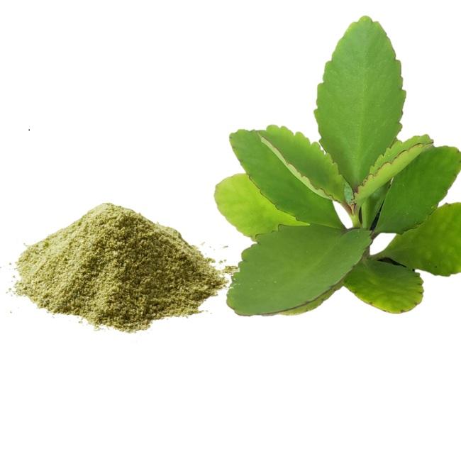 Akkapana Leaf Powder