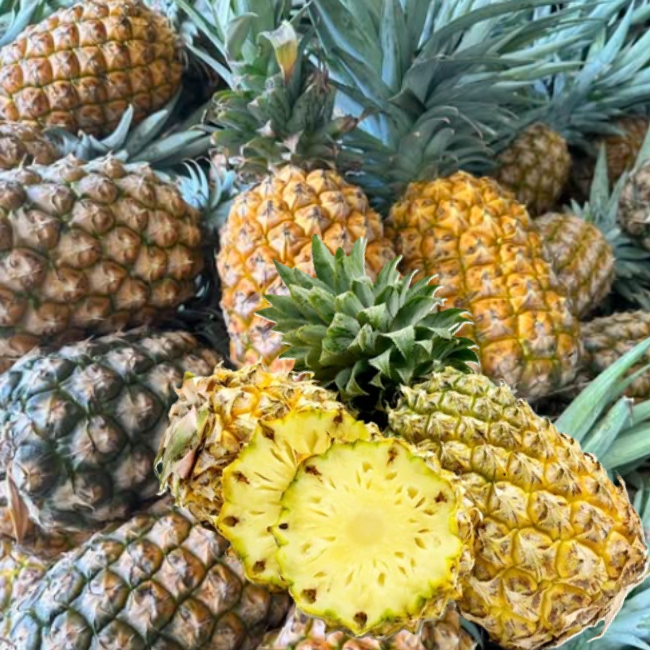 Pineapple (Bulk Orders)