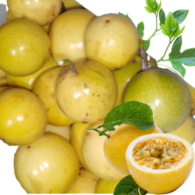 Passion Fruit (Bulk Orders)