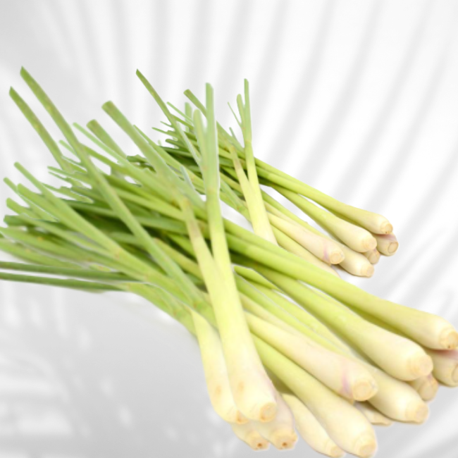 Lemon Grass-(Bulk order)